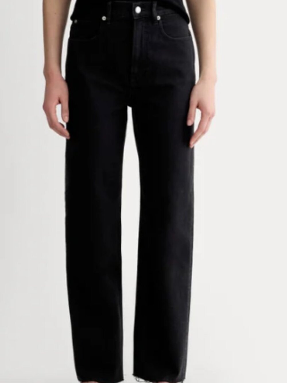 NWT Everlane The Curvy Way High Jean Coal Size 29